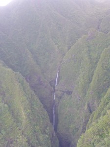 P1030811
