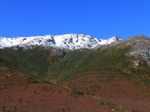 P1050709