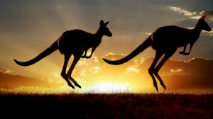 science-take-kangaroos-videoSixteenByNine1050