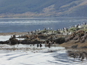 P1000359