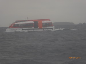 P1000414 (2)