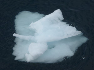 P1000478